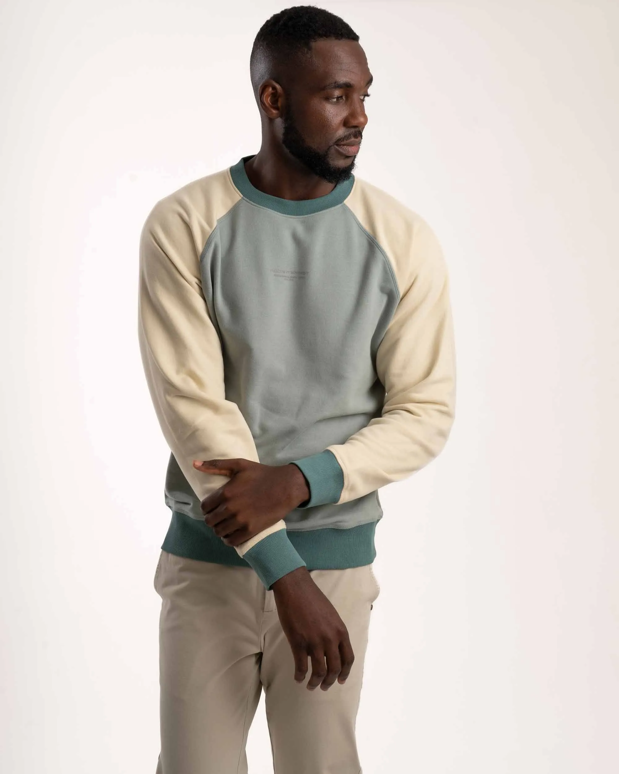 Mens Crew Neck Sweater - Blue Colourblock