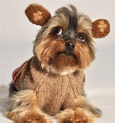 Monkey Hoodie Dog Sweater