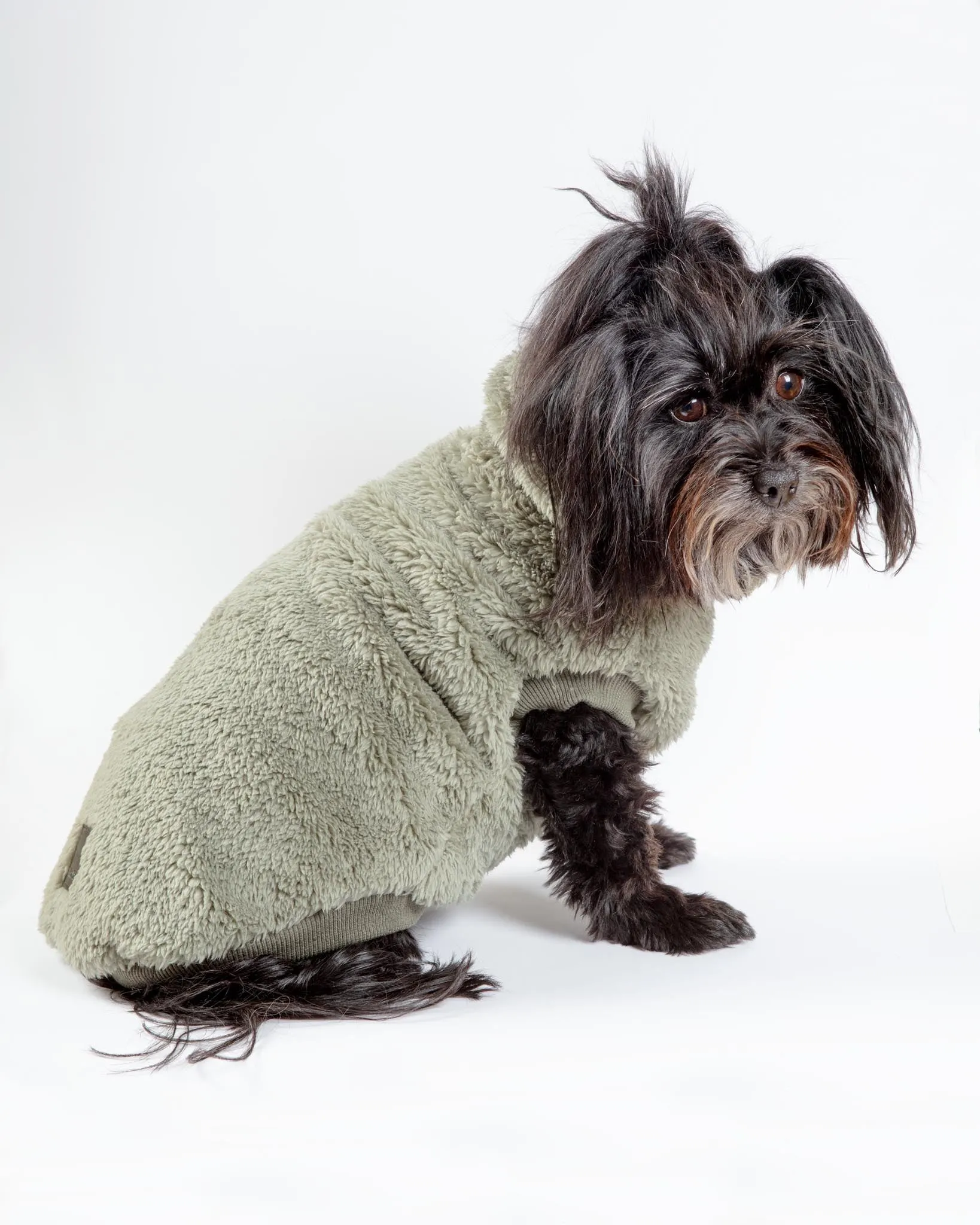 Turtle Teddy Dog Fleece in Rosemary